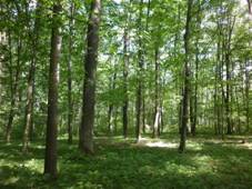 Bazantnice v Uhersku (09).JPG