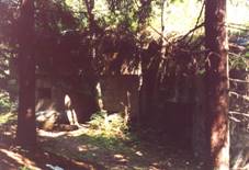 esk Petrovice, K-S 48 (rok 2002).jpg