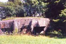 esk Petrovice, K-S 49 (rok 2002).jpg