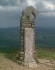 SlÅ¯n› pod vrcholem.jpg