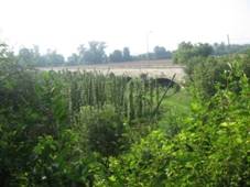 Inundacni most Postoloprty.JPG