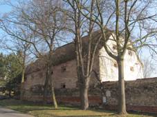 Rvenice sÃ½pka.JPG