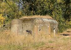 C14 55 light pillbox 2018-10-13.jpg