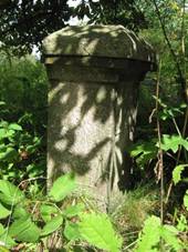 Jesnky - elezn k | podstavec eleznho ke - z 2010