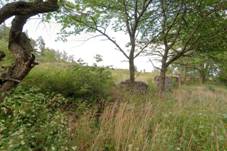 idovsk hbitov v Lukch