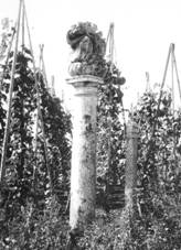 sloup se sousom Nejsvtj Trojice