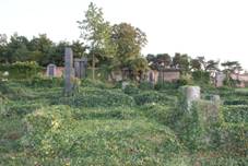 Znojmo cemetery 12.JPG